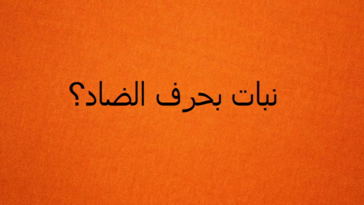 نبات بحرف ض-أفضل أنواع النباتات نبات بحرف ضأفضل أنواع النباتات