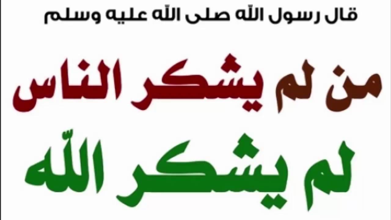 مسجات لا شكر على واجب- من لا يشكر الناس لا يشكر مسجات لا شكر على واجب من لا يشكر الناس ل