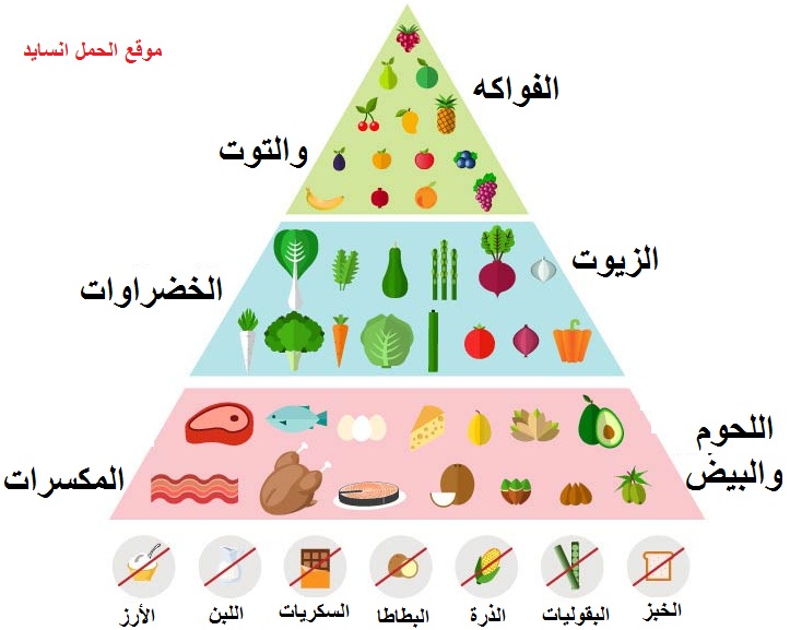 نظام الكيتو دايت تجارب , كل شيء عن نظام الكيتو