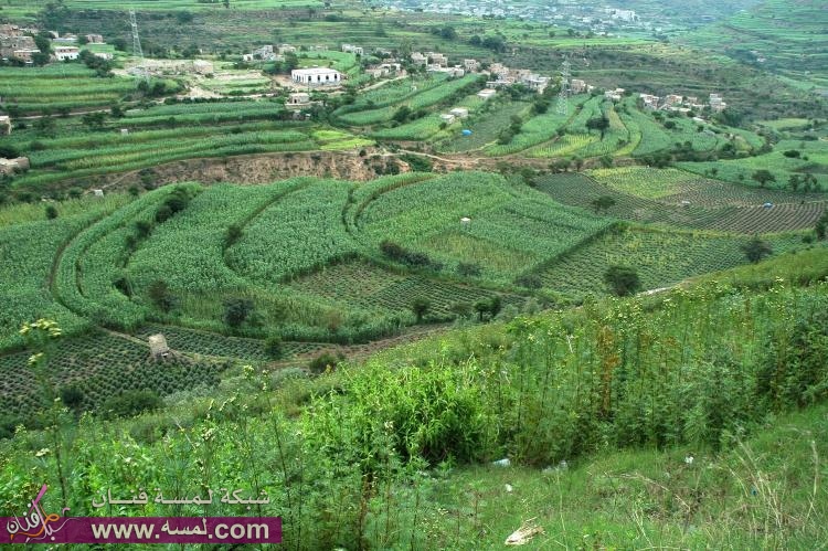 اب جنة اليمن الخضراء بلادي اليمن - اروع المناظر الموجوده باليمن -D8-A7-D8-A8 -D8-Ac-D9-86-D8-A9 -D8-A7-D9-84-D9-8A-D9-85-D9-86 -D8-A7-D9-84-D8-Ae-D8-B6-D8-B1-D8-A7-D8-A1 -D8-A8-D9-84-D8-A7-D8-Af-D9-8A -D8-A7-D9-84-D9-8A-D9-85-D9-86 -D8-A7-D8-B1-D9-88-D8-B9 4