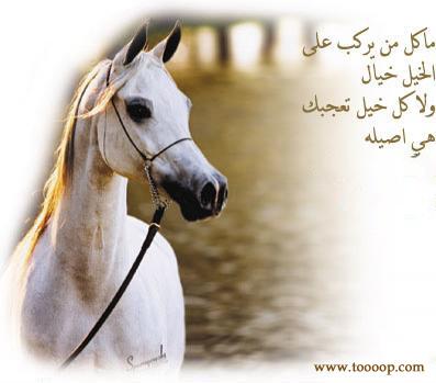 شعر عن ركوب الخيل , الى محبى ركوب الخيل