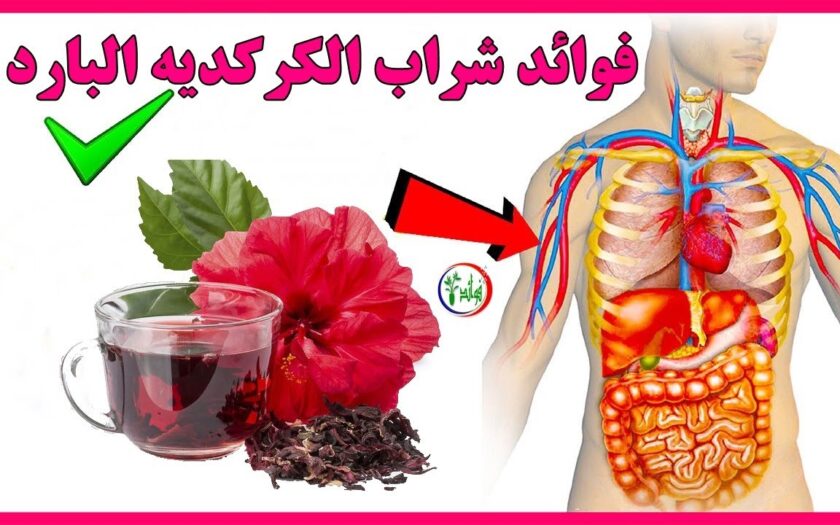 فوائد الكركديه البارد - الكركديه ومايحمله من فوائد فوائد الكركديه البارد الكركديه ومايح