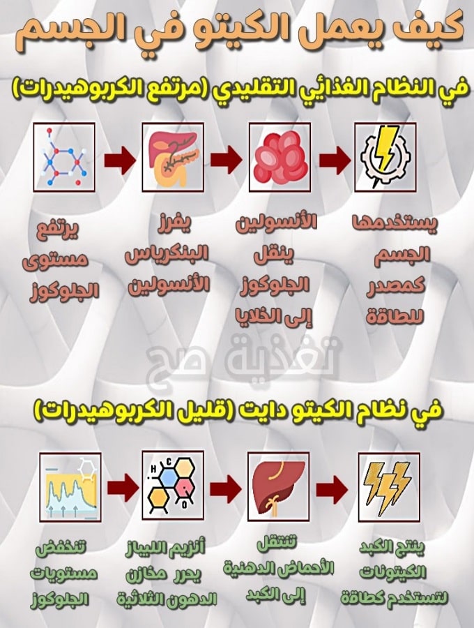 موسوعة التمارين الانظمة الغذائية التجارب الناجحة الوجبات الصحية - صورة تضم كل الوجبات الغذائيه -D8-A8-D8-B1-D9-86-D8-A7-D9-85-D8-Ac -D8-Ad-D9-85-D9-8A-D8-A9 -D9-83-D9-8A-D8-Aa-D9-88 -D8-A7-D8-B1-D9-88-D8-B9 -D9-86-D8-B8-D8-A7-D9-85 -D8-Ba-D8-B0-D8-A7-D8-A6-D9-89 -D9-84-D9-84-D8-Ac-D8-B3-D9-85 1