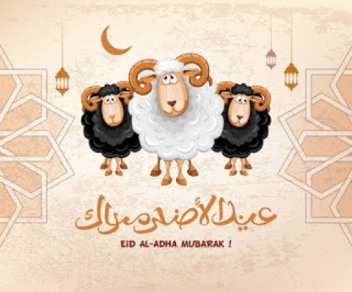 صور تهنئة عيد الاضحي المبارك - رمزيات وبوستات لعيد الاضحي -D8-B5-D9-88-D8-B1 -D8-Aa-D9-87-D9-86-D8-A6-D8-A9 -D8-B9-D9-8A-D8-Af -D8-A7-D9-84-D8-A7-D8-B6-D8-Ad-D9-8A -D8-A7-D9-84-D9-85-D8-A8-D8-A7-D8-B1-D9-83 -D8-B1-D9-85-D8-B2-D9-8A-D8-A7-D8-Aa -D9-88-D8-A8 6