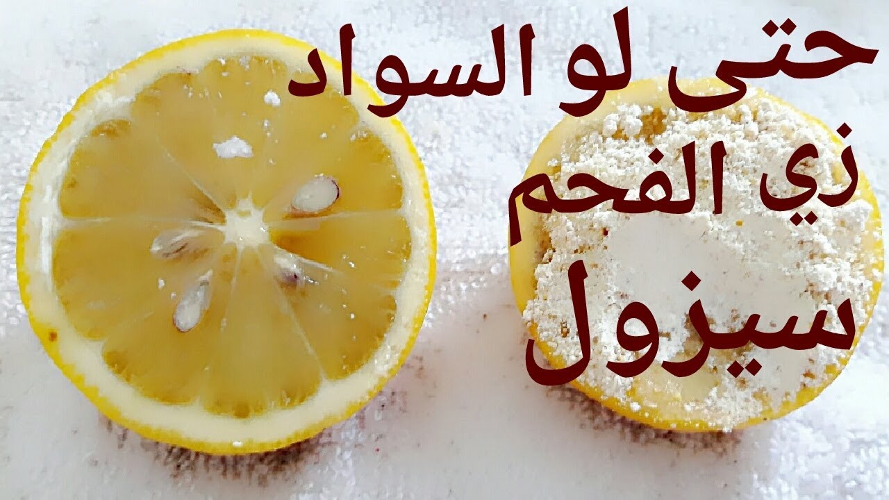 منقطة حساسة بييضة ولا ارواع