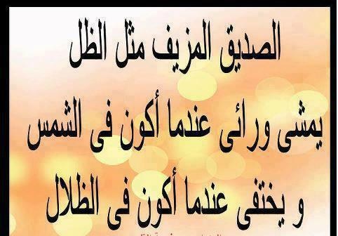 امثال وحكم عن الصداقة - كنوز عن الصداقة -D8-A7-D9-85-D8-Ab-D8-A7-D9-84 -D9-88-D8-Ad-D9-83-D9-85 -D8-B9-D9-86 -D8-A7-D9-84-D8-B5-D8-Af-D8-A7-D9-82-D8-A9 -D9-83-D9-86-D9-88-D8-B2 -D8-B9-D9-86 -D8-A7-D9-84-D8-B5-D8-Af-D8-A7-D9-82-D8-A9 1