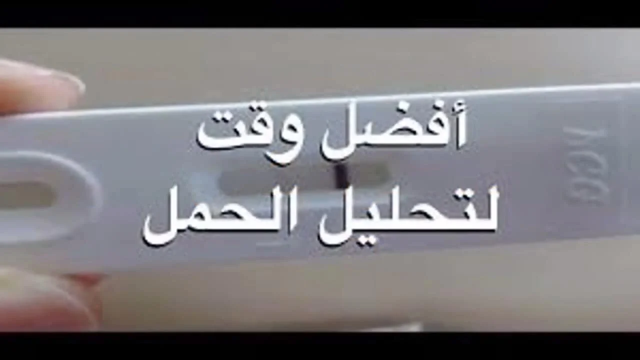 افضل شي للحمل اشياء مهمه تساعد علي الحم 7