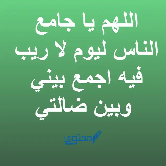 دعاء فقدان الشيء او ضياعه - ذكر مهم يجمعك بضالتك -D8-Af-D8-B9-D8-A7-D8-A1 -D9-81-D9-82-D8-Af-D8-A7-D9-86 -D8-A7-D9-84-D8-B4-D9-8A-D8-A1 -D8-A7-D9-88 -D8-B6-D9-8A-D8-A7-D8-B9-D9-87 -D8-B0-D9-83-D8-B1 -D9-85-D9-87-D9-85 -D9-8A-D8-Ac-D9-85-D8-B9 8