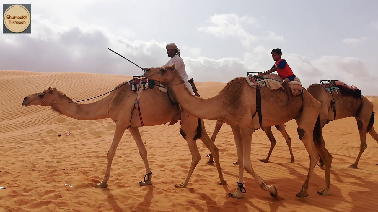 الجمال في الصحراء , صور جمال فى الصحراء الرائعه