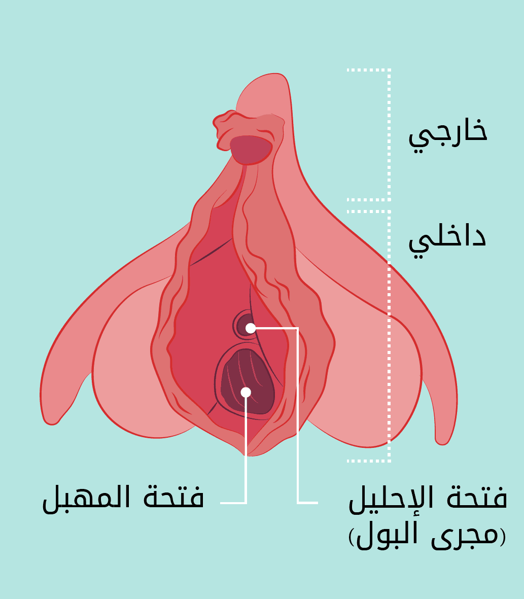 صور انواع الكس - انواع المهبل -D8-B5-D9-88-D8-B1 -D8-A7-D9-86-D9-88-D8-A7-D8-B9 -D8-A7-D9-84-D9-83-D8-B3 -D8-A7-D9-86-D9-88-D8-A7-D8-B9 -D8-A7-D9-84-D9-85-D9-87-D8-A8-D9-84 2