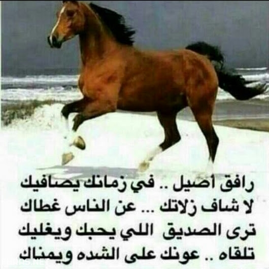 شعر خليجي عن الصداقة - الخل الوفي بعبارات تعطيه حقه شعر خليجي عن الصداقة الخل الوفي بعبارا