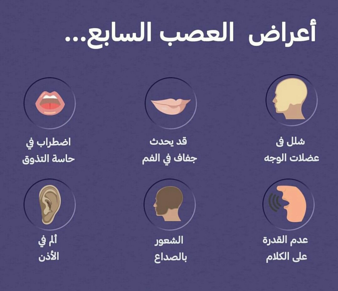 معلومات مهمة - اقرأ هذه المعلومات معلومات مهمة اقرأ هذه المعلومات