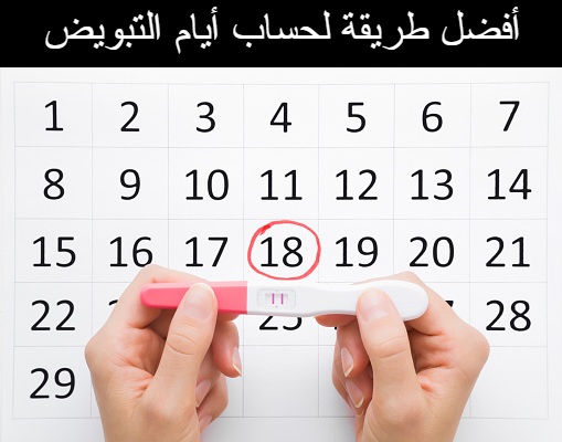 كيف احسب يوم التبويض - طريقة حساب اليوم المناسب للحمل أفضل طريقة لحساب أيام التبويض