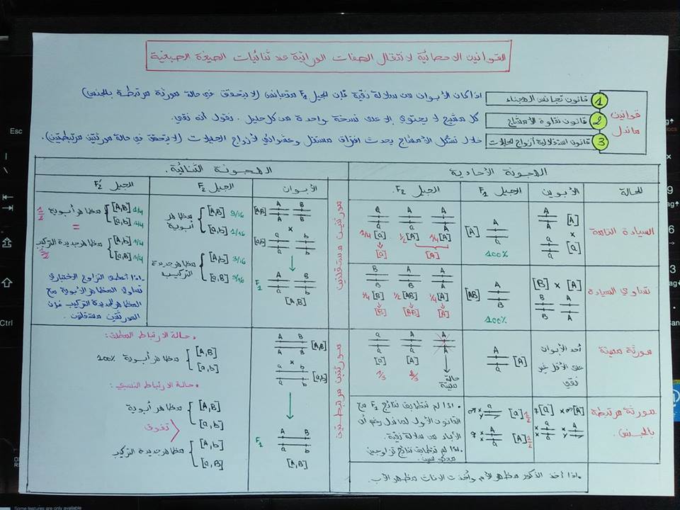 القوانين الاحصائية لانتقال الصفات الوراثية , أعرف القانون الأحصائى