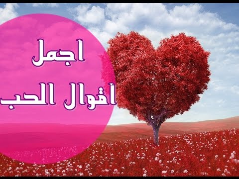 كلام حب حلو جدا - رسائل وكلمات حب ومشاعر حنين -D9-83-D9-84-D8-A7-D9-85 -D8-Ad-D8-A8 -D8-Ad-D9-84-D9-88 -D8-Ac-D8-Af-D8-A7 -D8-B1-D8-B3-D8-A7-D8-A6-D9-84 -D9-88-D9-83-D9-84-D9-85-D8-A7-D8-Aa -D8-Ad-D8-A8 -D9-88-D9-85-D8-B4-D8-A7-D8-B9-D8-B1 3