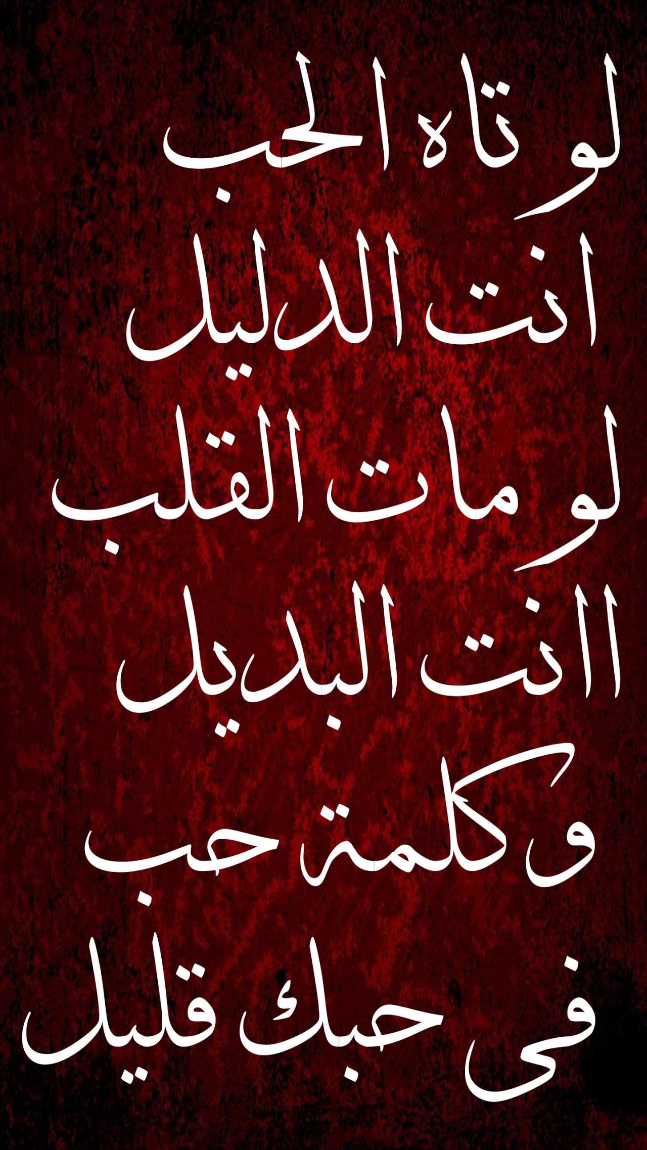 رسائل حب جزائرية بالدارجة-افضل رسائل حب باللهجه الجزائرية رسائل صباحية جزائرية اروع عبارات تقال 5