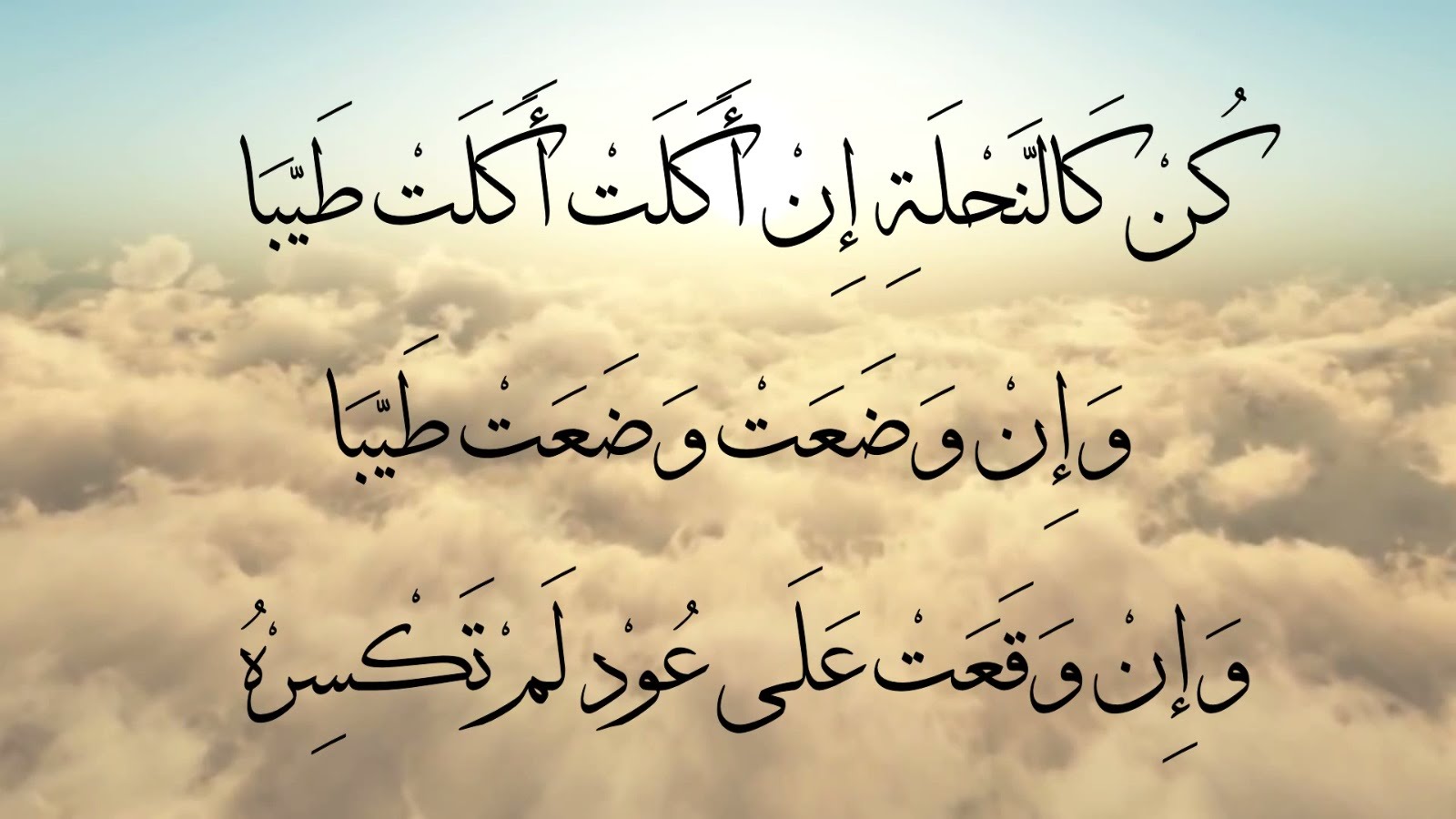 جملة عن الحياة - مواعظ وحكم عن الدنيا -D8-Ac-D9-85-D9-84-D8-A9 -D8-B9-D9-86 -D8-A7-D9-84-D8-Ad-D9-8A-D8-A7-D8-A9 -D9-85-D9-88-D8-A7-D8-B9-D8-B8 -D9-88-D8-Ad-D9-83-D9-85 -D8-B9-D9-86 -D8-A7-D9-84-D8-Af-D9-86-D9-8A-D8-A7 4