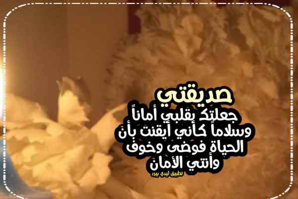 شعر جميل عن الصديقةأجمل مقولات لصحبتك 6