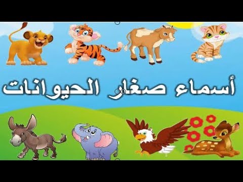 اسماء اولاد الحيوانات , تعرف على الحيوانات و اسمائهم