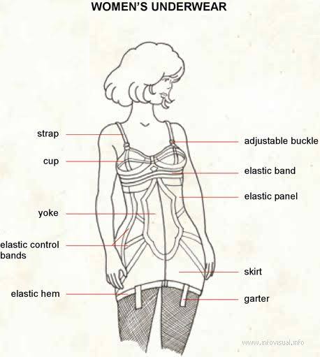 اسماء الملابس الداخلية للبنات بالصور-تعرفى على ملابسك الداخليه بالصور 352 6