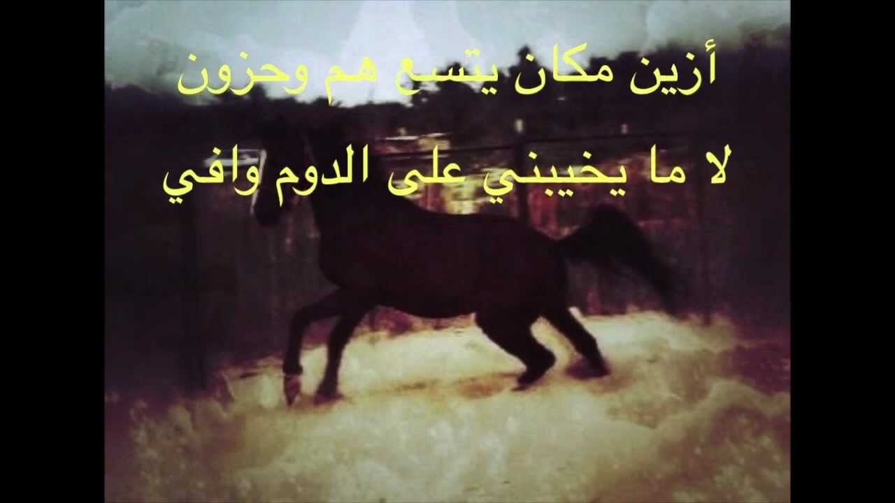 شعر عن ركوب الخيل - الى محبى ركوب الخيل -D8-B4-D8-B9-D8-B1 -D8-B9-D9-86 -D8-A7-D9-84-D8-Ae-D9-8A-D8-A7-D9-84 -D8-A7-D8-B4-D8-B9-D8-A7-D8-B1 -D8-B1-D8-A7-D8-A6-D8-B9-D9-87 -D9-88 -D9-85-D8-B9-D8-A8-D8-B1-D8-A9 -D8-Ac-D8-Af-D8-A7 8