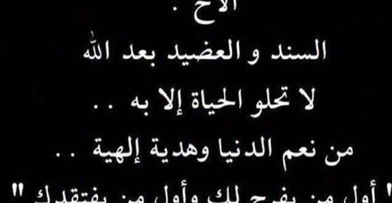 معنى كلمة عضيد , ابرز معاني كلمة عضيد