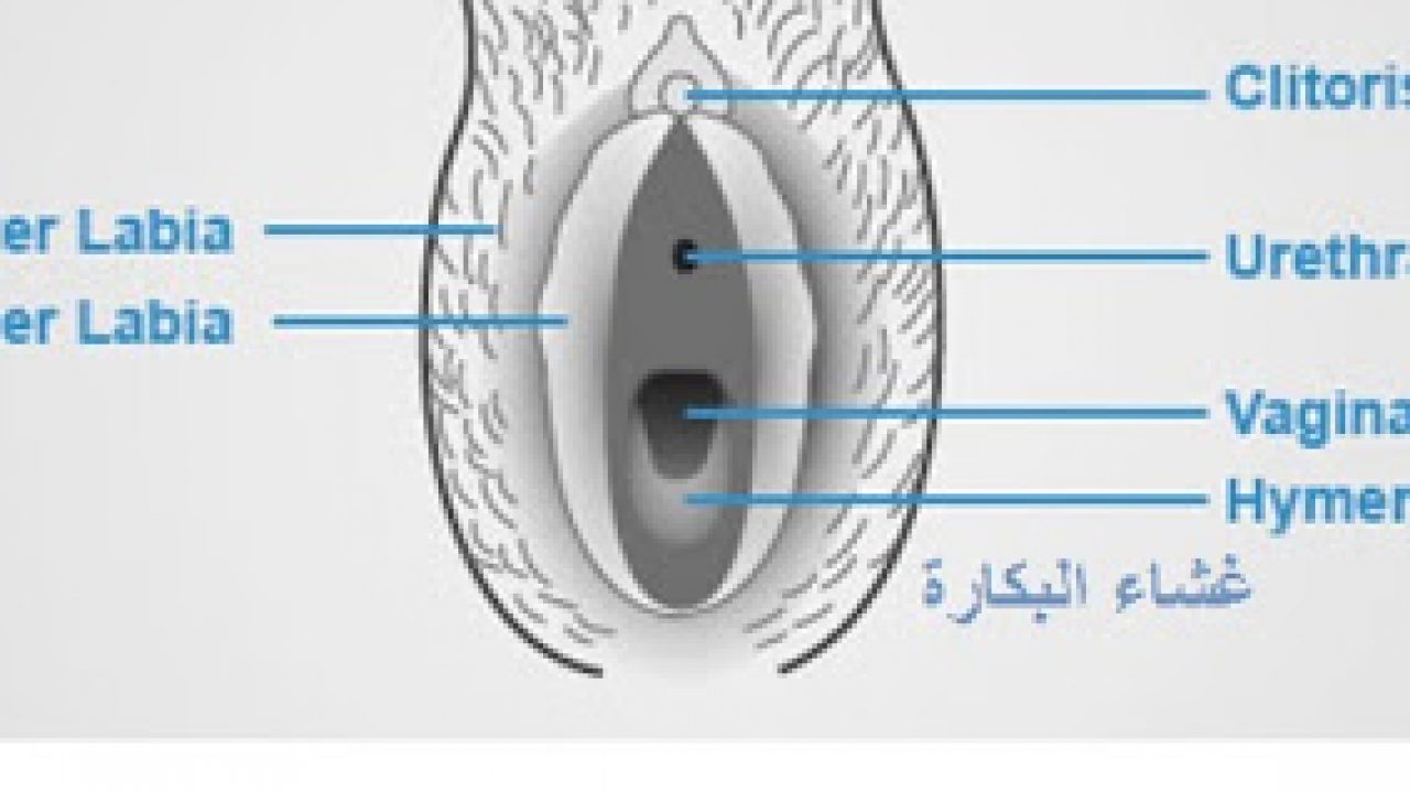 صور انواع الكس - انواع المهبل -D8-B5-D9-88-D8-B1 -D8-A7-D9-86-D9-88-D8-A7-D8-B9 -D8-A7-D9-84-D9-83-D8-B3 -D8-A7-D9-86-D9-88-D8-A7-D8-B9 -D8-A7-D9-84-D9-85-D9-87-D8-A8-D9-84 5