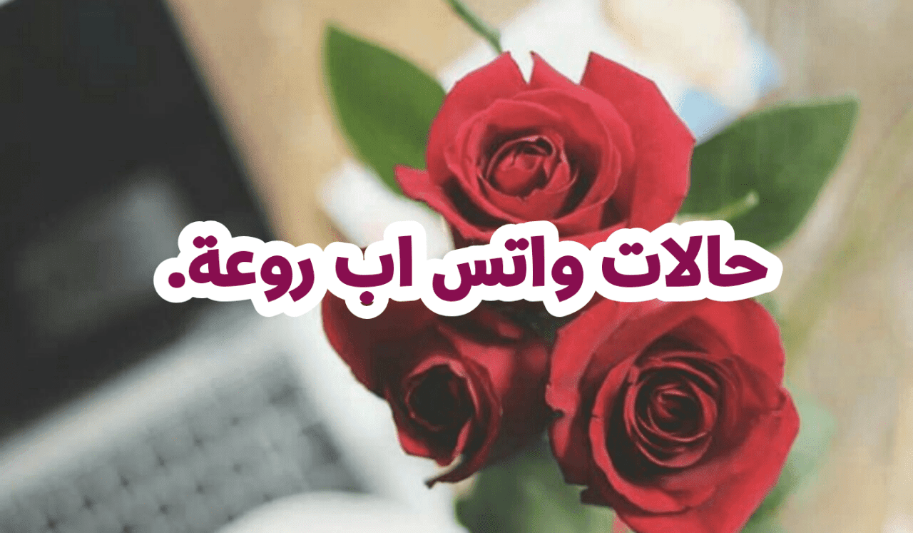 حالات واتس اب , اجمل حالات الواتس الجذابه