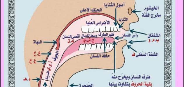 مخارج الحروف العربيه -يلا بينا نتعلم أزاى نقرأ الحرف مخارج الحروف العربيه يلا بينا نتعلم أز