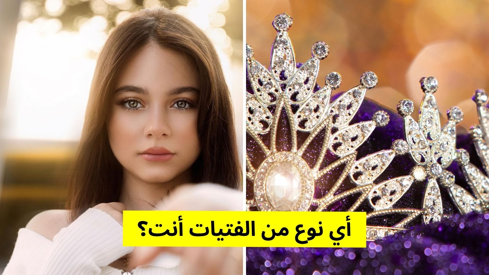 كوني ملكة جمال خلال سنة , مميزات ملكات الجمال