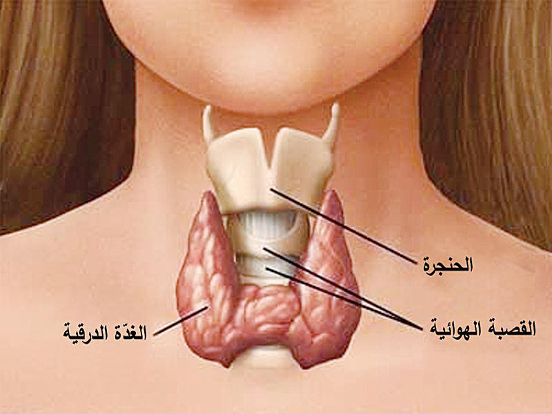 لمرضا نشاط الغده الدرقيه , بتضر حاجات كتيراوى