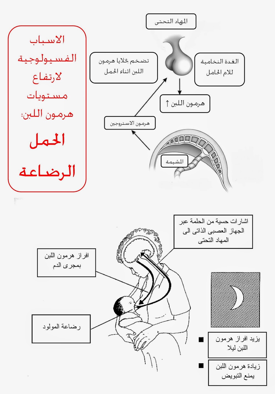 نقص هرمون الحليب , ليه علاج لا تقلق