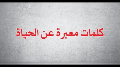 اقوال وحكم عن الحياة-الحياه مليئه بالخبرات -D8-A7-D9-82-D9-88-D8-A7-D9-84 -D9-88-D8-Ad-D9-83-D9-85 -D8-B9-D9-86 -D8-A7-D9-84-D8-Ad-D9-8A-D8-A7-D8-A9-D8-A7-D9-84-D8-Ad-D9-8A-D8-A7-D9-87 -D9-85-D9-84-D9-8A-D8-A6-D9-87 -D8-A8-D8-A7-D9-84-D8-Ae 8