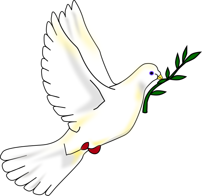 اغنية كلمات تدل عن السلم - انشودة عهد السلام 800Px Peace Dove-Svg