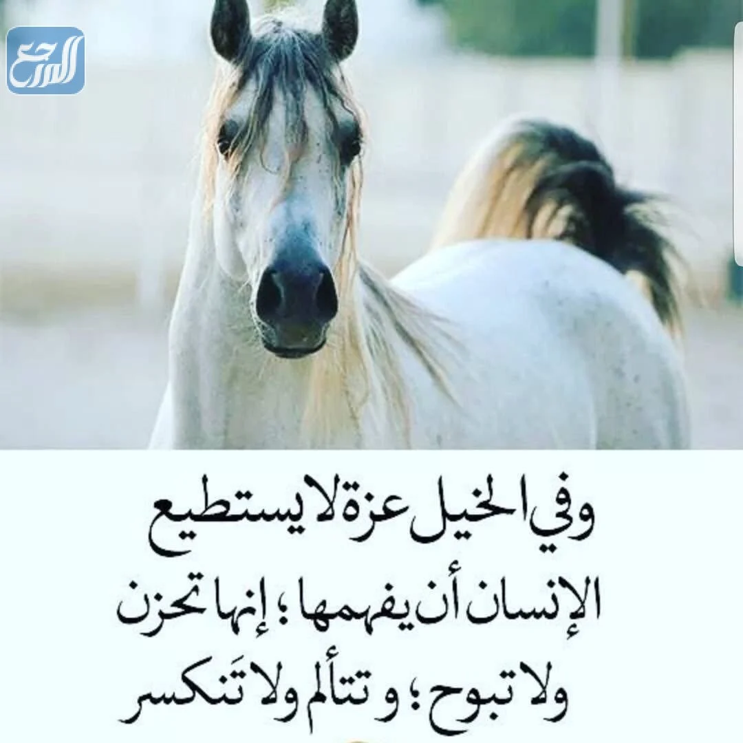 شعر عن ركوب الخيل - الى محبى ركوب الخيل -D8-B4-D8-B9-D8-B1 -D8-B9-D9-86 -D8-A7-D9-84-D8-Ae-D9-8A-D8-A7-D9-84 -D8-A7-D8-B4-D8-B9-D8-A7-D8-B1 -D8-B1-D8-A7-D8-A6-D8-B9-D9-87 -D9-88 -D9-85-D8-B9-D8-A8-D8-B1-D8-A9 -D8-Ac-D8-Af-D8-A7 9