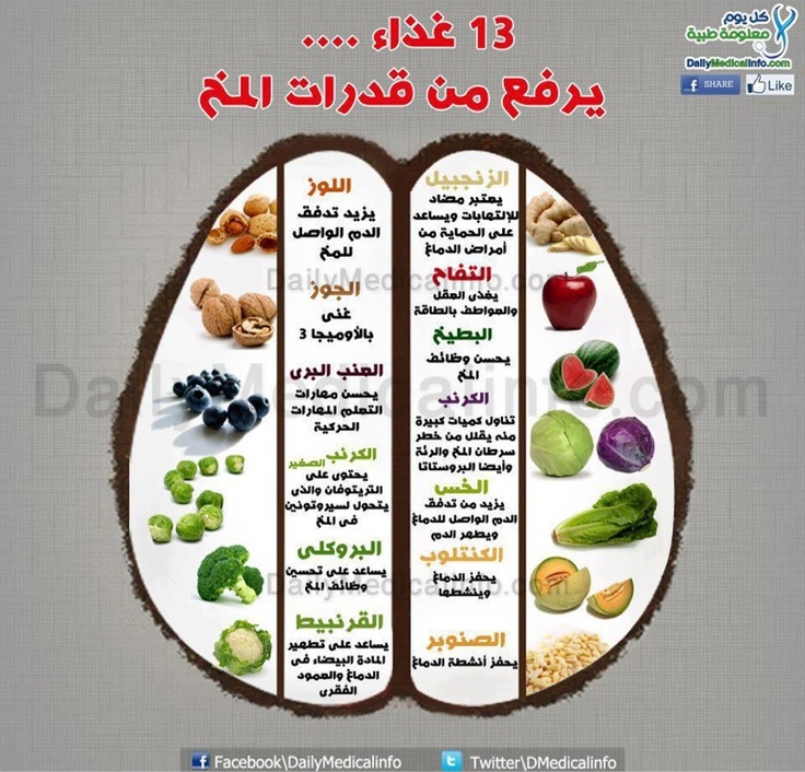 افضل غذاء للدماغ , كيف تنمى الفكر و الدماغ بالاكلات المغذيه