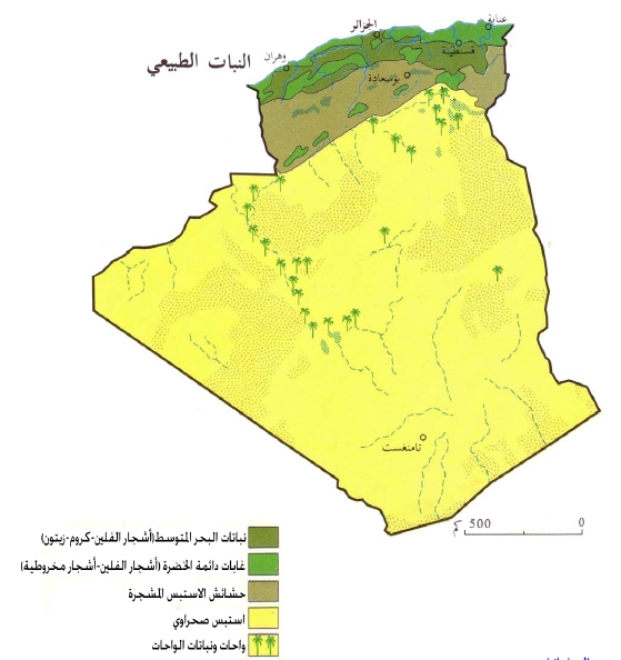 الغطاء النباتي في الجزائر , معلومات عن الغطاء النباتي الموجود في الجزائر