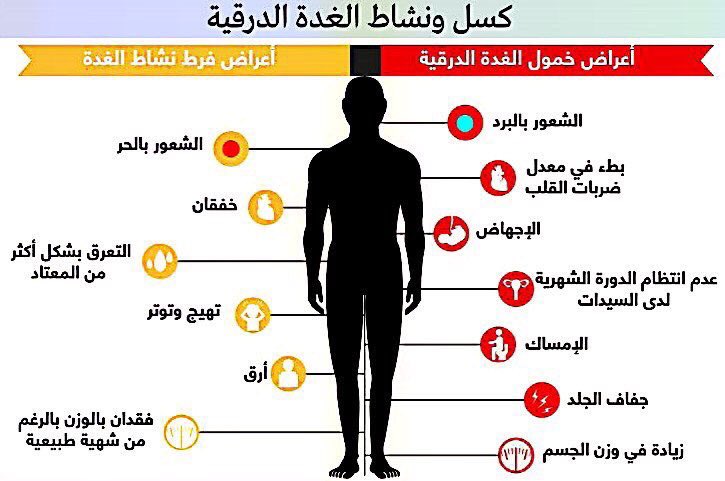 كل ماتودي معرفته عن كسل الغده الدرقيه الاعراض والعلاج بالاضافه للحميه الغذائيه , نبذه عن كسل الغده الدرقيه