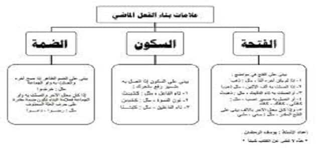 امثلة على الفعل الماضي-تعلمى قواعد النحو البدائيه -D8-A7-D9-85-D8-Ab-D9-84-D8-A9 -D8-B9-D9-84-D9-89 -D8-A7-D9-84-D9-81-D8-B9-D9-84 -D8-A7-D9-84-D9-85-D8-A7-D8-B6-D9-8A-D8-Aa-D8-B9-D9-84-D9-85-D9-89 -D9-82-D9-88-D8-A7-D8-B9-D8-Af -D8-A7-D9-84-D9-86 1