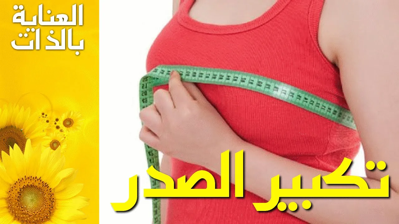 خلطات تكبير الصدر- هيبقى حجمه مناسب خلطات تكبير الصدر هيبقى حجمه مناسب