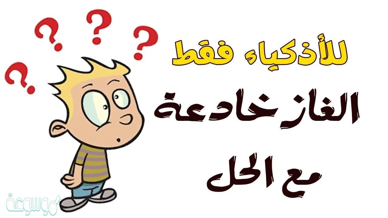 جمع كلمة بؤبؤ , لغة رائعة بجد