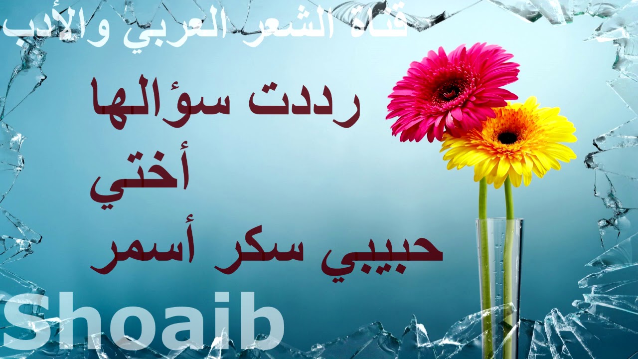 حبيبي سكر اسمر من اروع الاشعار المميزه