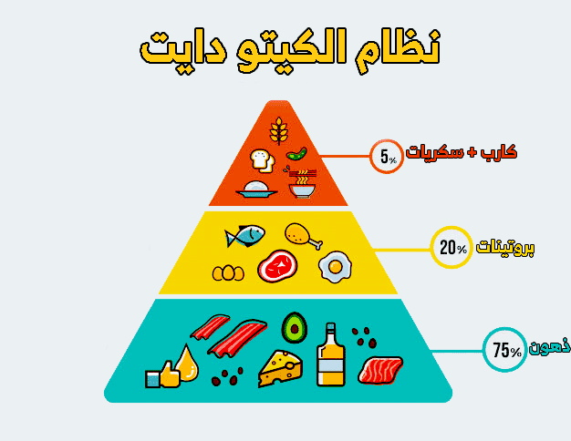 فوائد نظام الكيتو دايت- بتخسى بشكل صحى فوائد نظام الكيتو دايت بتخسى بشكل صحى