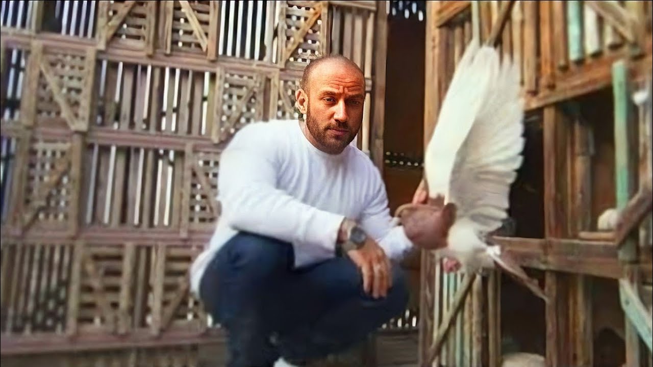 حمام احمد مكيغية أحمد مكى 9