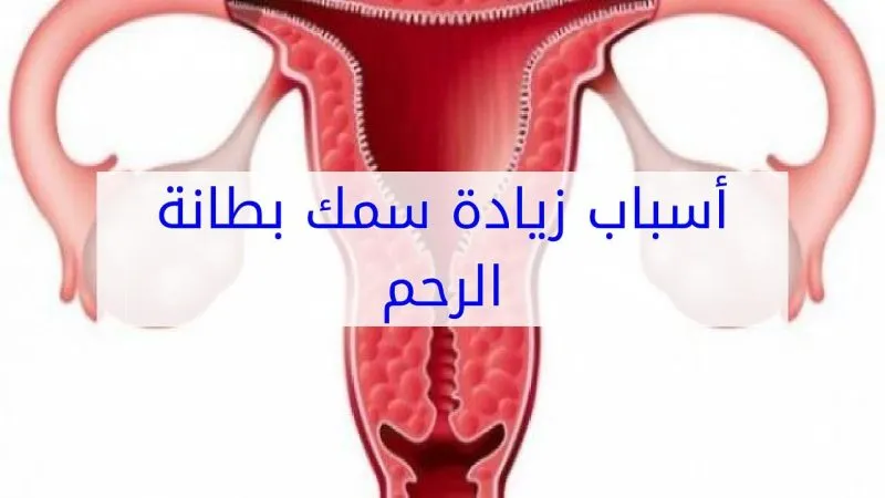 ما سمك بطانة الرحم الطبيعية-تختلف كل سيده عن الأخرى فى شكل الرحم ما سمك بطانة الرحم الطبيعيةتختلف كل سي