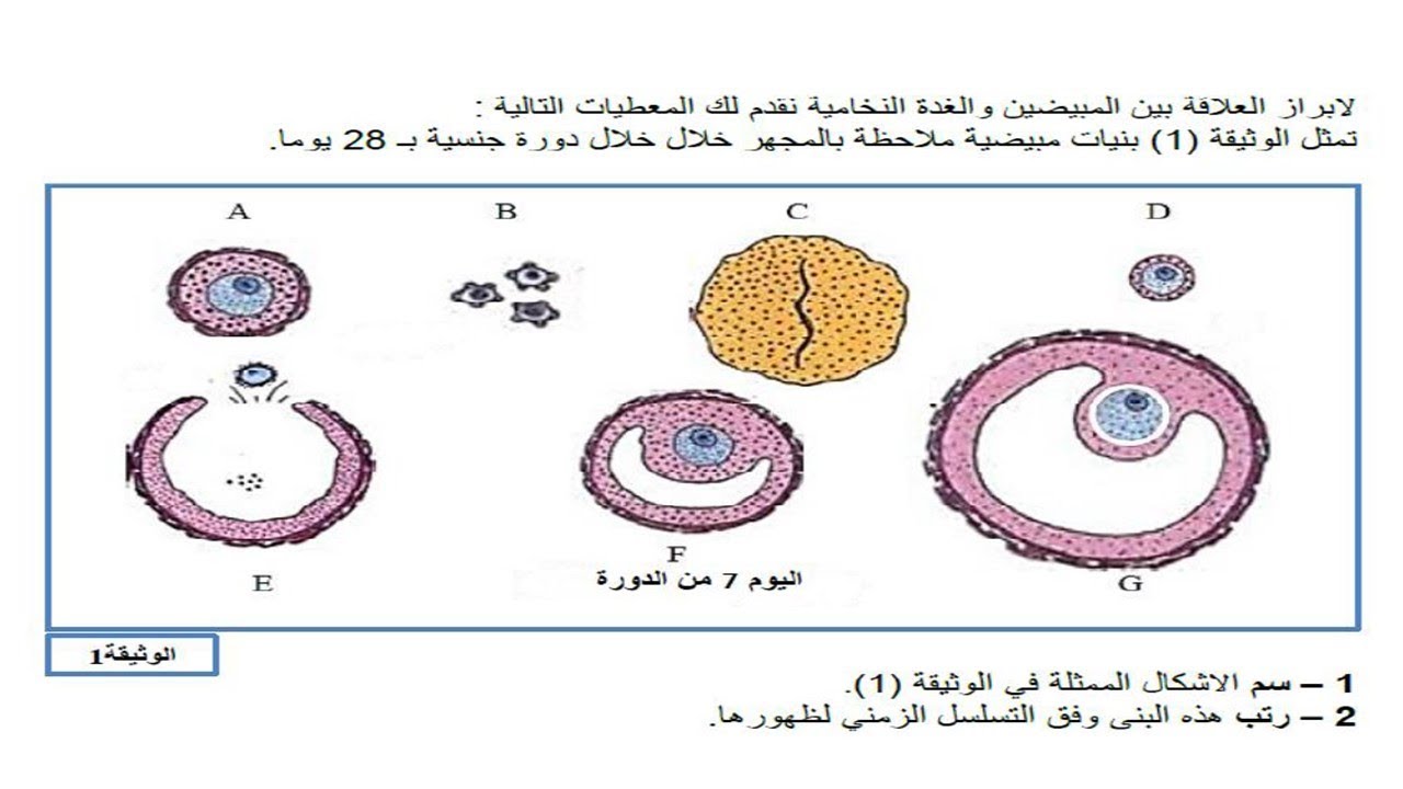 التنسيق العصبي الهرموني اقوى مراجعه ل 6