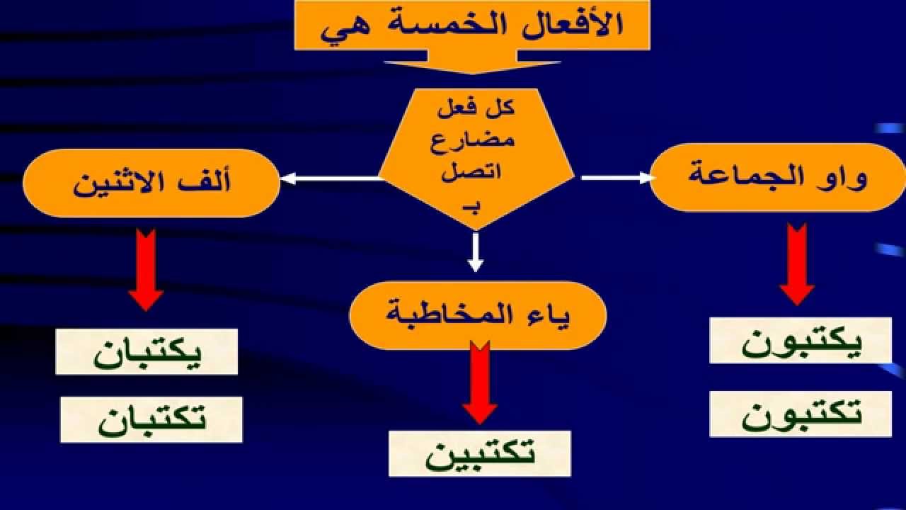 لماذا سميت الاسماء الخمسة بهذا الاسم , اجابه غريبه جدا بس مقنعه