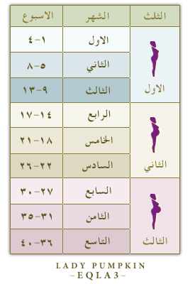 مراحل نمو الجنين بالاسابيع - صور للجنين داخل الرحم -D9-85-D8-B1-D8-A7-D8-Ad-D9-84 -D9-86-D9-85-D9-88 -D8-A7-D9-84-D8-Ac-D9-86-D9-8A-D9-86 -D8-A8-D8-A7-D9-84-D8-A7-D8-B3-D8-A7-D8-A8-D9-8A-D8-B9 -D8-B5-D9-88-D8-B1 -D9-84-D9-84-D8-Ac-D9-86-D9-8A-D9-86 7