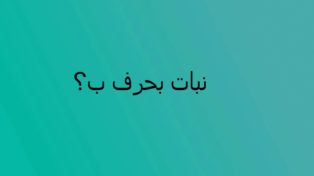 نبات بحرف ب - اسماء نباتات تبدء بحرف ال باء نبات بحرف ب اسماء نباتات تبدء بحرف ال ب