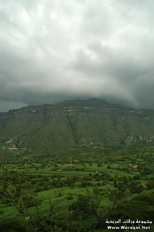 اب جنة اليمن الخضراء بلادي اليمن - اروع المناظر الموجوده باليمن -D8-A7-D8-A8 -D8-Ac-D9-86-D8-A9 -D8-A7-D9-84-D9-8A-D9-85-D9-86 -D8-A7-D9-84-D8-Ae-D8-B6-D8-B1-D8-A7-D8-A1 -D8-A8-D9-84-D8-A7-D8-Af-D9-8A -D8-A7-D9-84-D9-8A-D9-85-D9-86 -D8-A7-D8-B1-D9-88-D8-B9 5